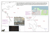 bau01 ile de re_thumb.gif